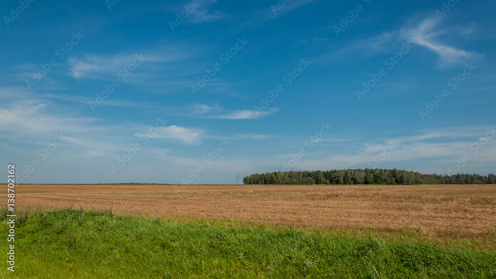 agricultural landscape. the field after harvesting at the end of August under the blue sky with easy clouds