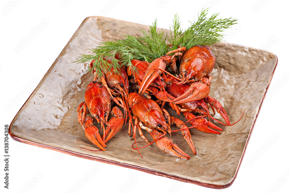 Boiled crayfish with dill on the plate. Boiled crayfish with dill on the plate.
