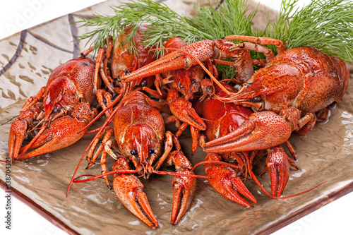 Boiled crayfish with dill on the plate.