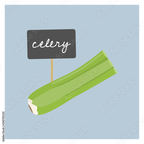 Vector Vegetable - Celery