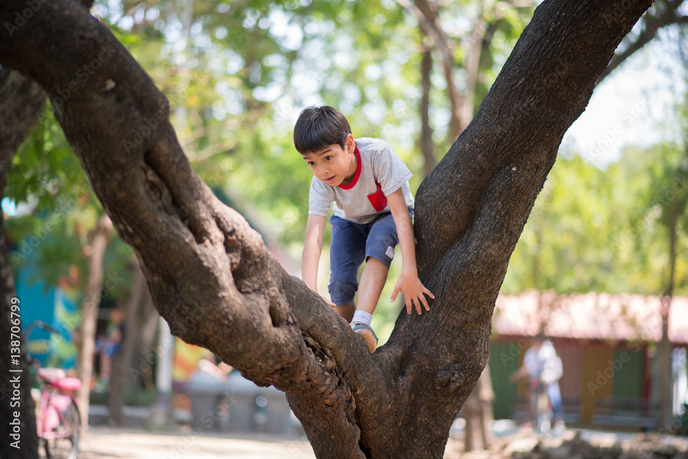 Little boy tryingto hang on the tree Little boy tryingto hang on the tree