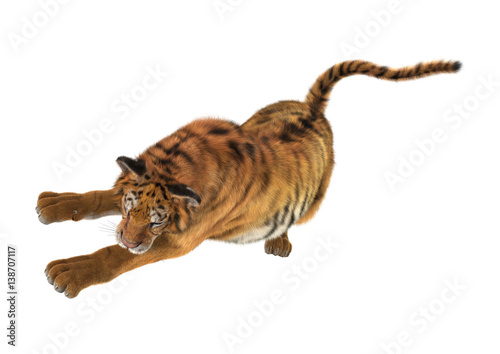 Fototapeta Naklejka Na Ścianę i Meble -  3D Rendering Big Cat Tiger on White