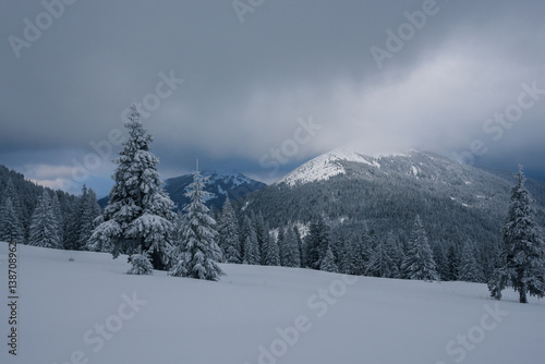 Dramatic landscape - winter evening in the mountains on the eve of snowfall