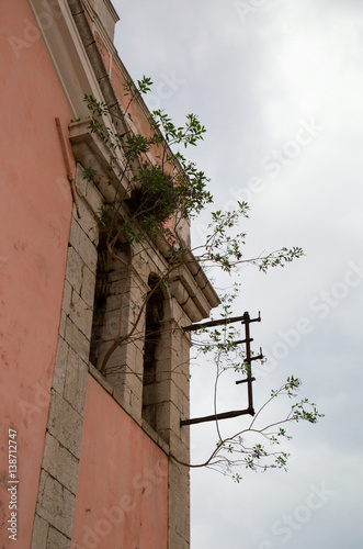 Alte Hausfassade mit Baum im starken Verfall in Lissabon