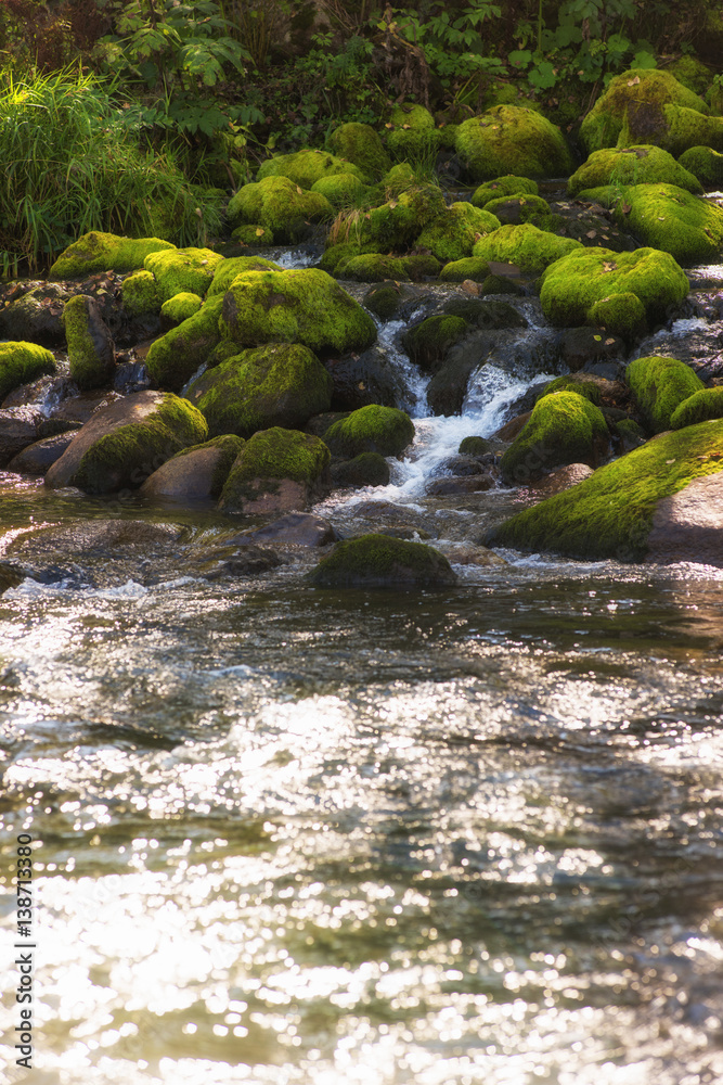 Fast mountain river in Altay Fast mountain river in Altay