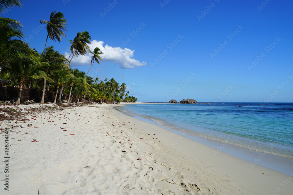 ile deserte ile deserte