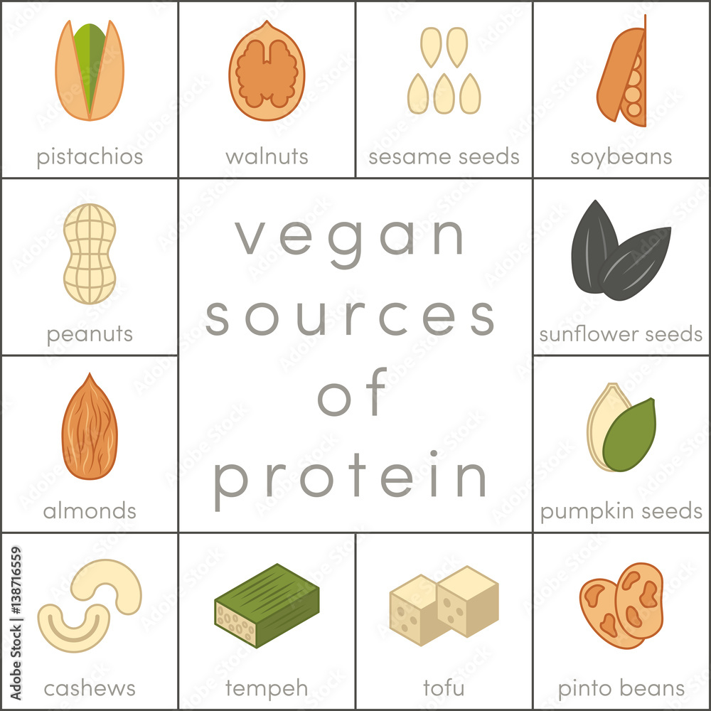 Vegan sources of protein