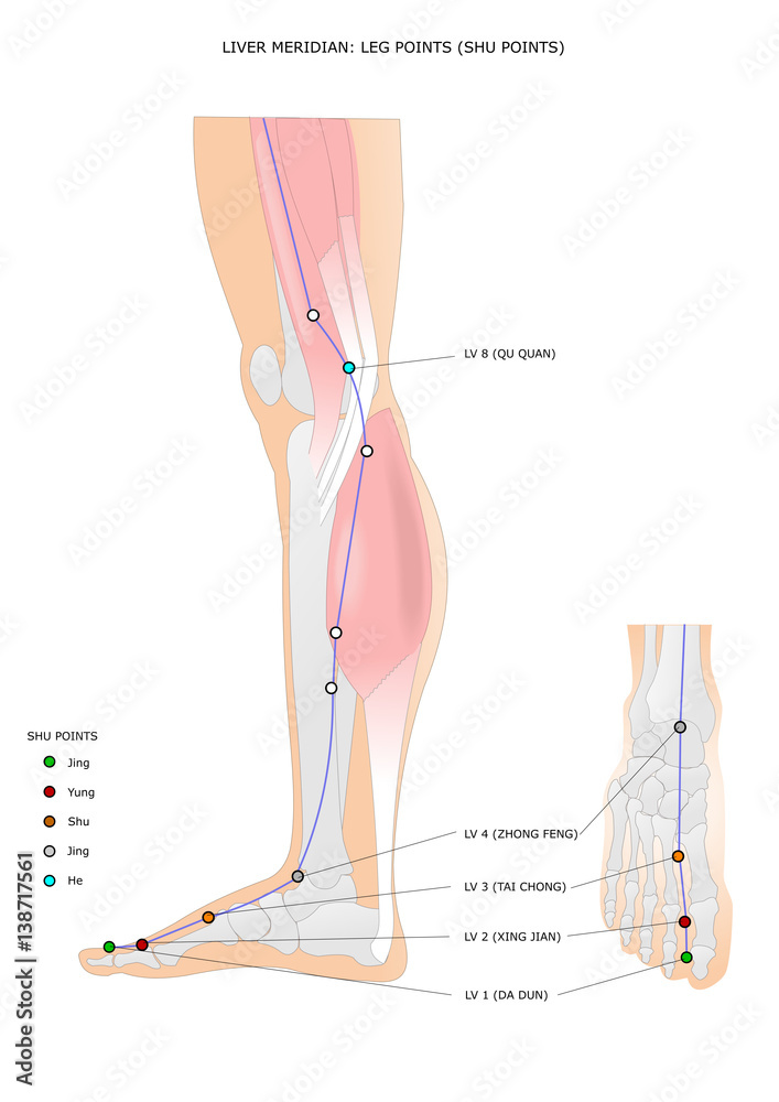 acupuncture the liver (, ) meridian with its legs points (ancient