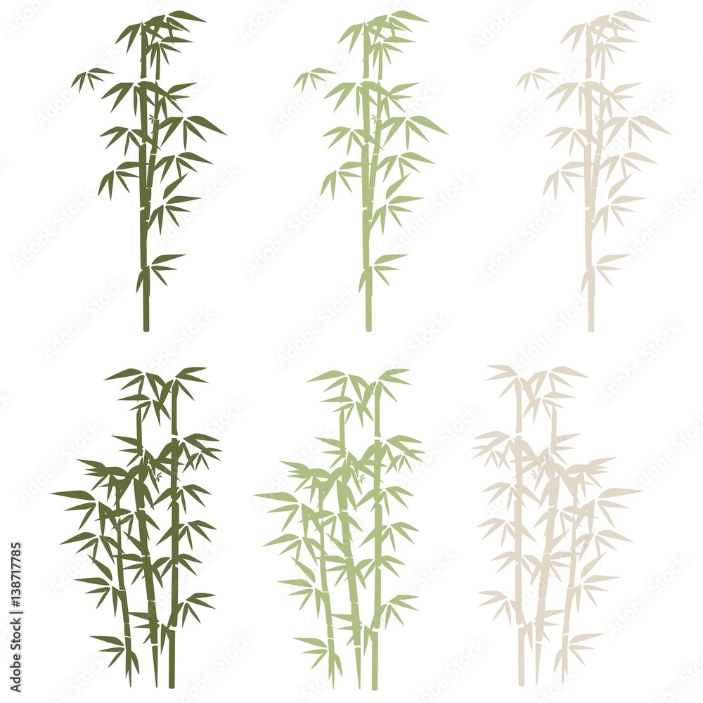 bamboo illustration