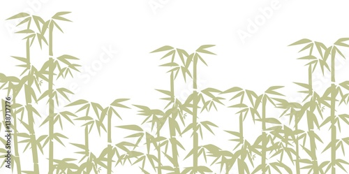 bamboo illustration photo