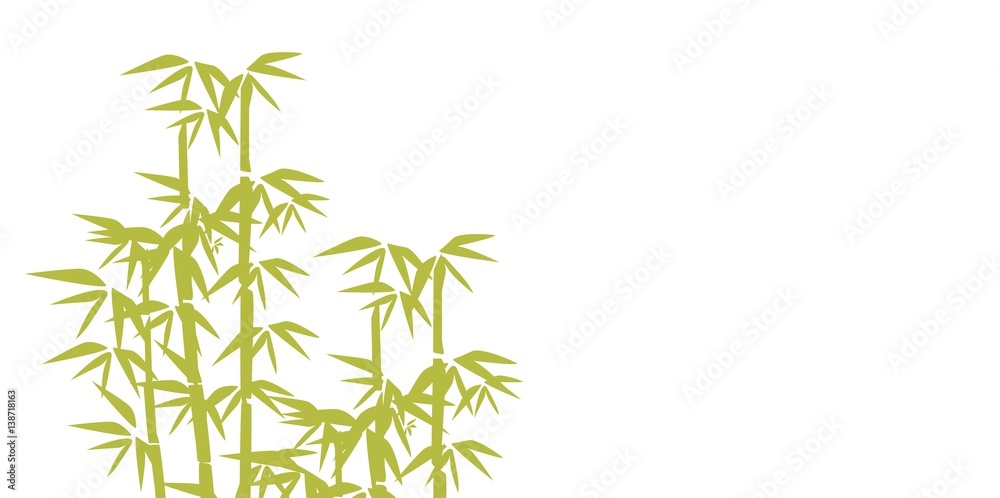 Naklejka premium bamboo illustration