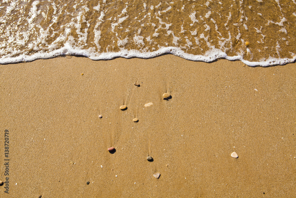 Shore in a desert beach Shore in a desert beach