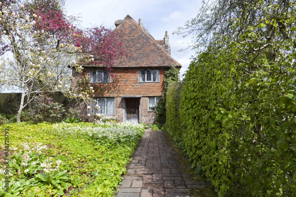 Old red brick cottage with flowering magnolia, spring flowers in the front garden reached by a path along a wall hedge