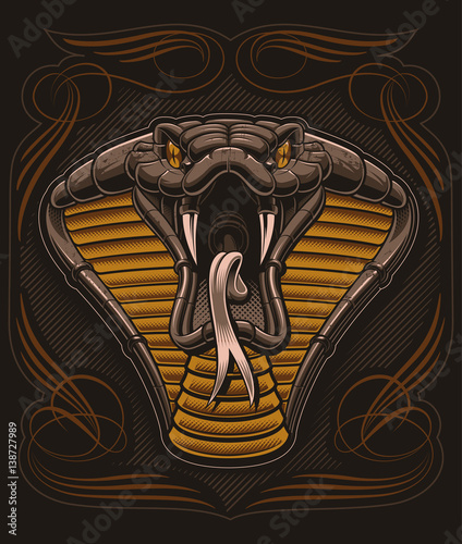 Cobra vector illustration