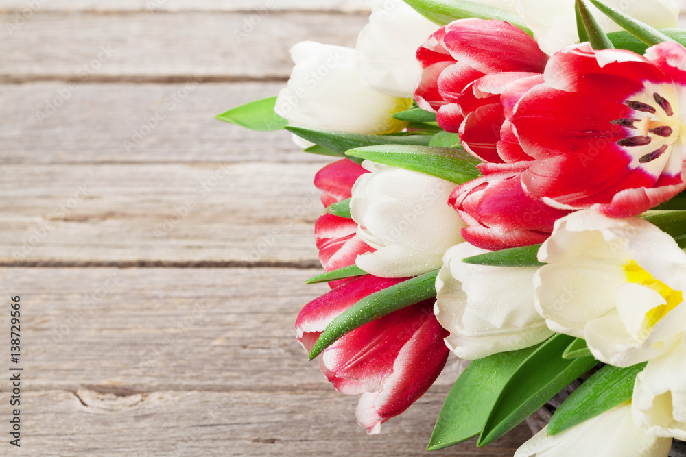 Colorful tulips bouquet basket. Red and white