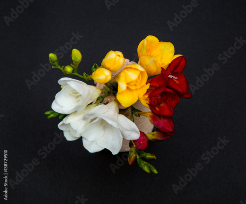 flowers of freesia white, yellow and red in a small vase on a black background, top view, like a postcard