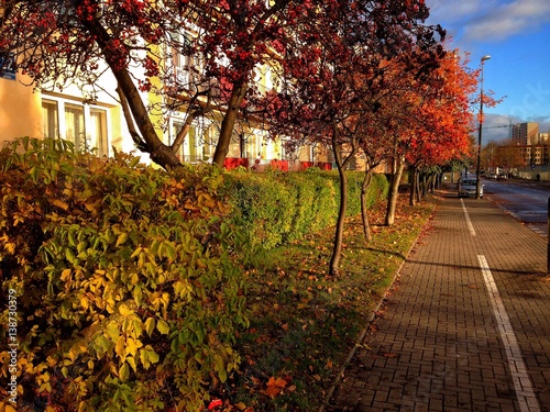 Olsztyńska ulica jesienią