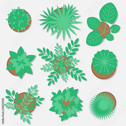 Collection of plants for web design, flat style