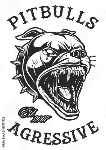Head of angry pitbull