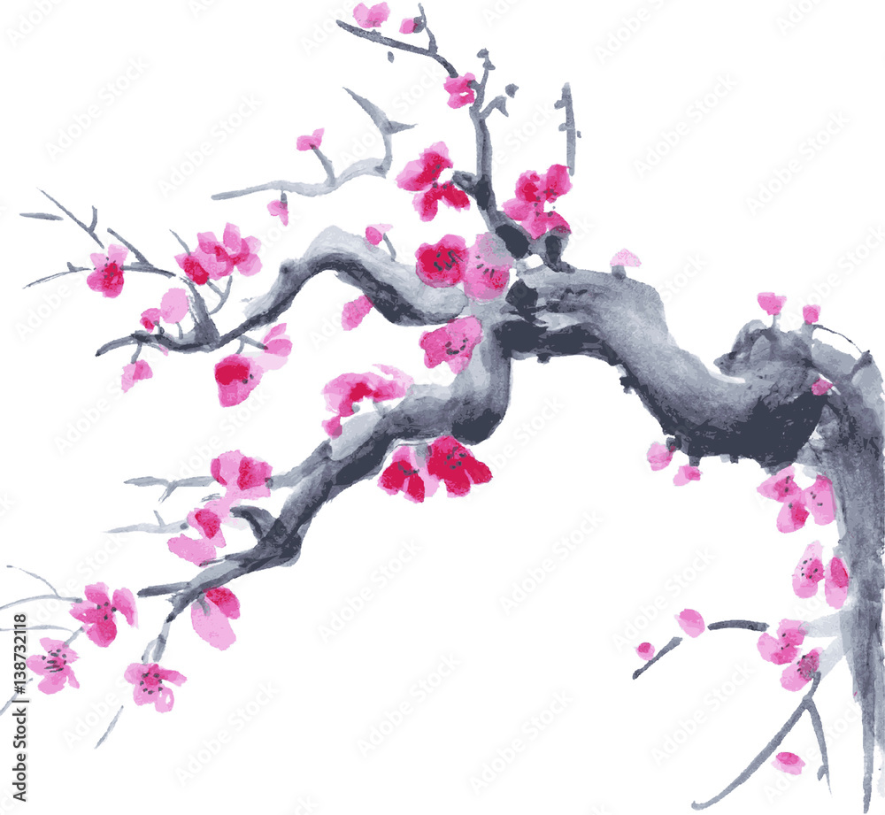 Realistic sakura blossom - Japanese cherry tree isolated on white ...