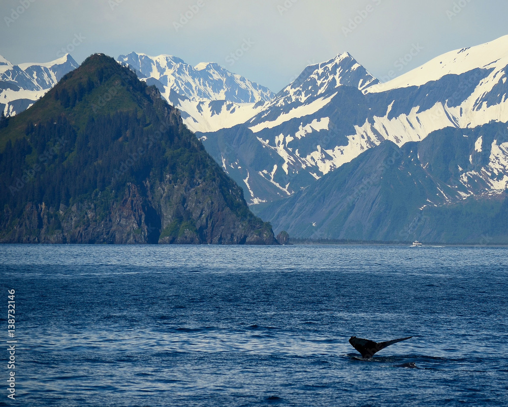 Fototapeta premium Kenai Fjords Alaska