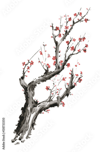 Watercolor Sakura Blossom - Japanese Cherry Tree. Artistic Branch Plum Blossom. Vector illustration