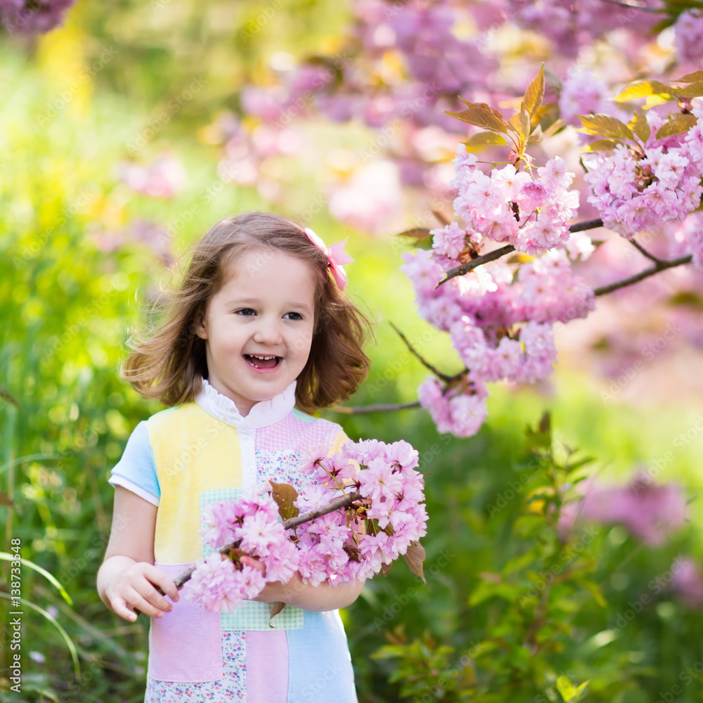Little girl with cherry blossom Little girl with cherry blossom