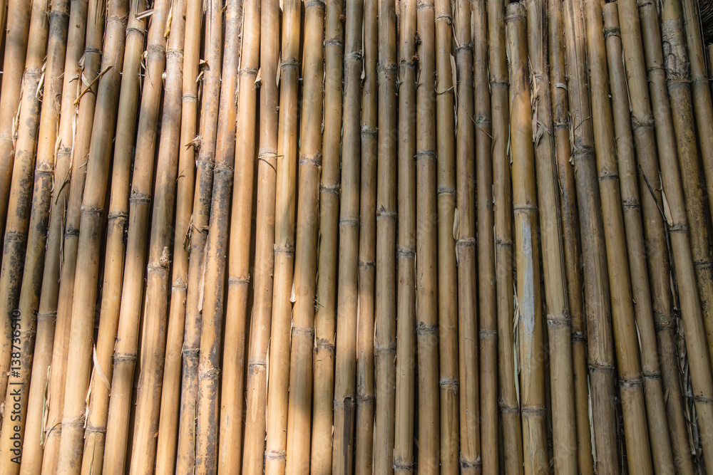 Fototapeta premium Walkway wood texture a natural