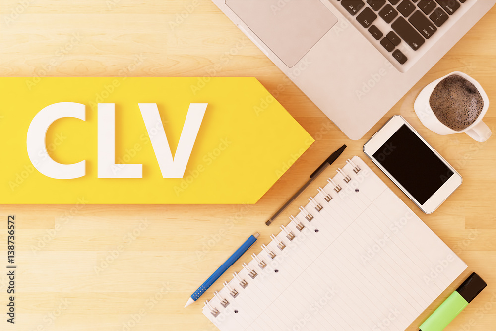 Customer Lifetime Value Customer Lifetime Value