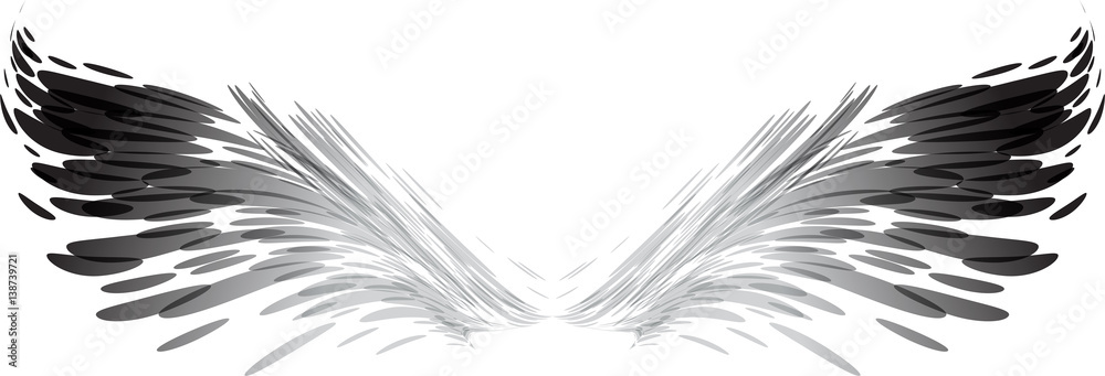 Abstract black and white wings - obrazy, fototapety, plakaty 