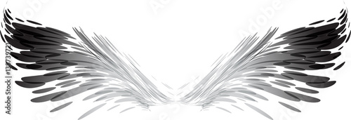 Obraz na płótnie Abstract black and white wings