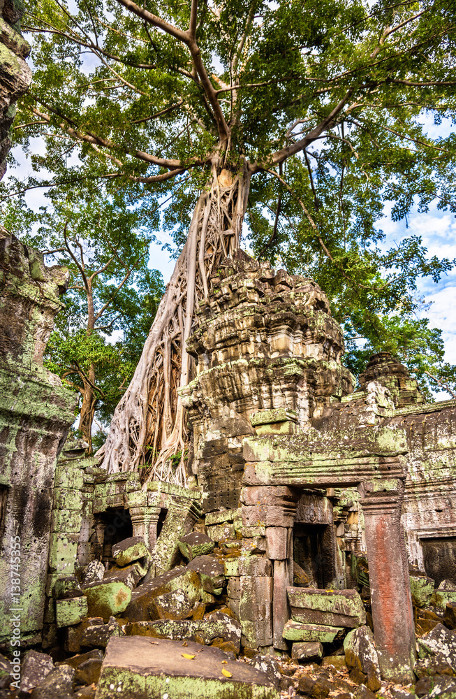 Ta Prohm Temple at Angkor in Cambodia