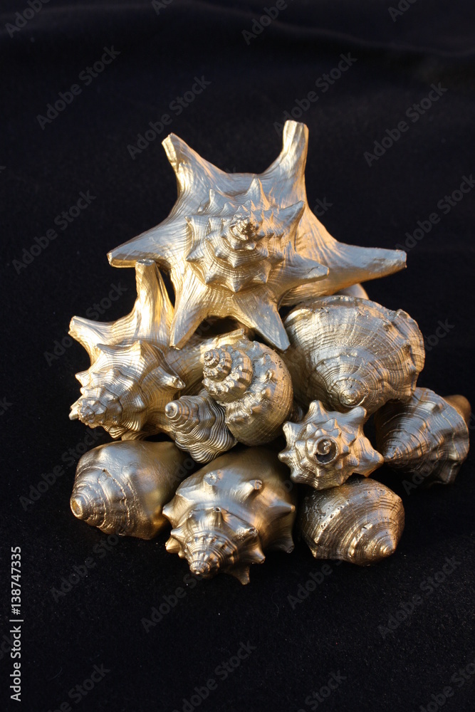 Golden Seashells 