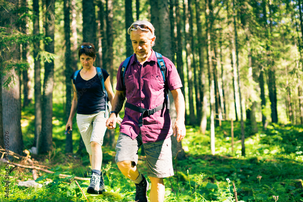 Hiking Senior Couple Hiking Senior Couple