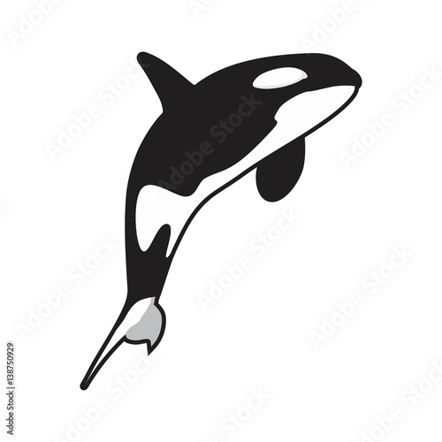 whale killer