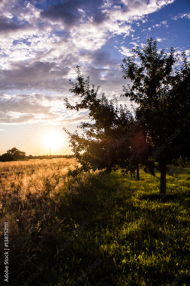 Fototapeta premium Landscape