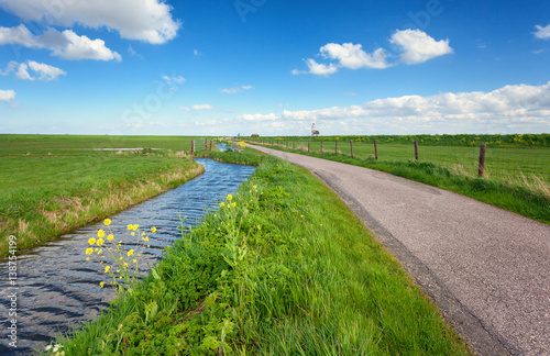 Beautiful landscape with gr...