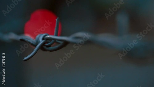 Barbed wire on the background of the city at night