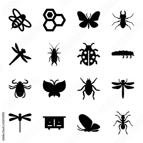 Set of 16 insect filled icons © HN Works