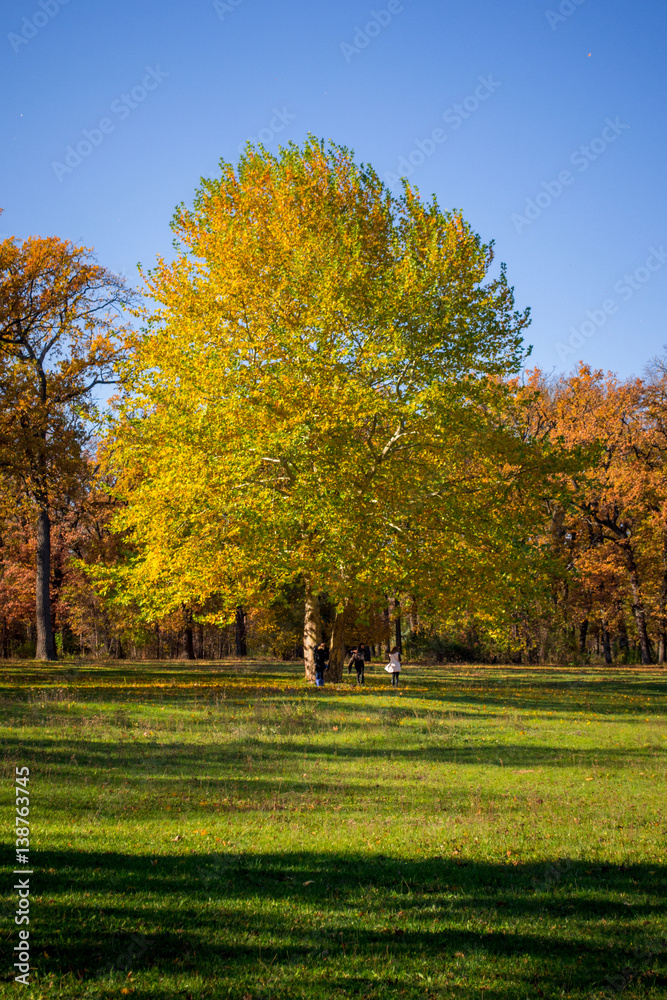 autumn in ukraine