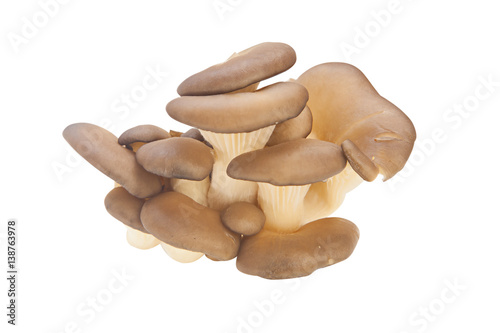 delicious raw mushrooms on white
