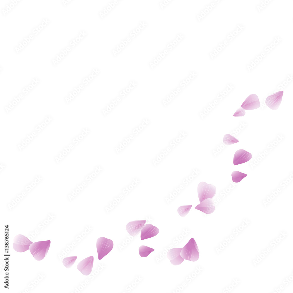Violet Purple flying petals isolated on white. Sakura petals. Vector Violet Purple flying petals isolated on white. Sakura petals. Vector