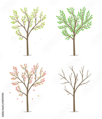 Four season with tree - spring, summer, autumn and winter