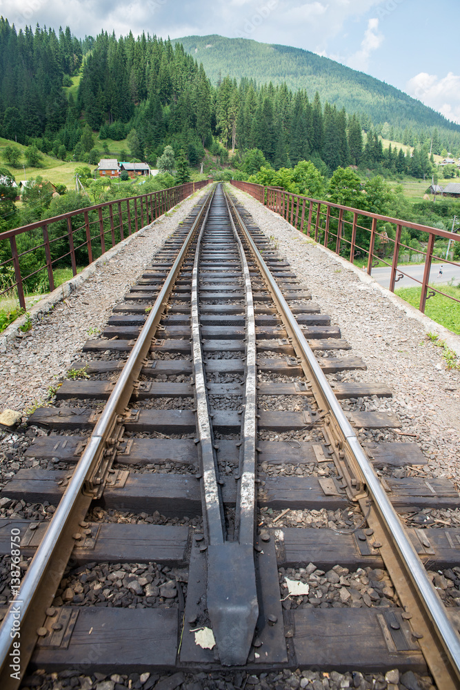 Fototapeta premium Railway in the Carpathian Mountains in Ukraine