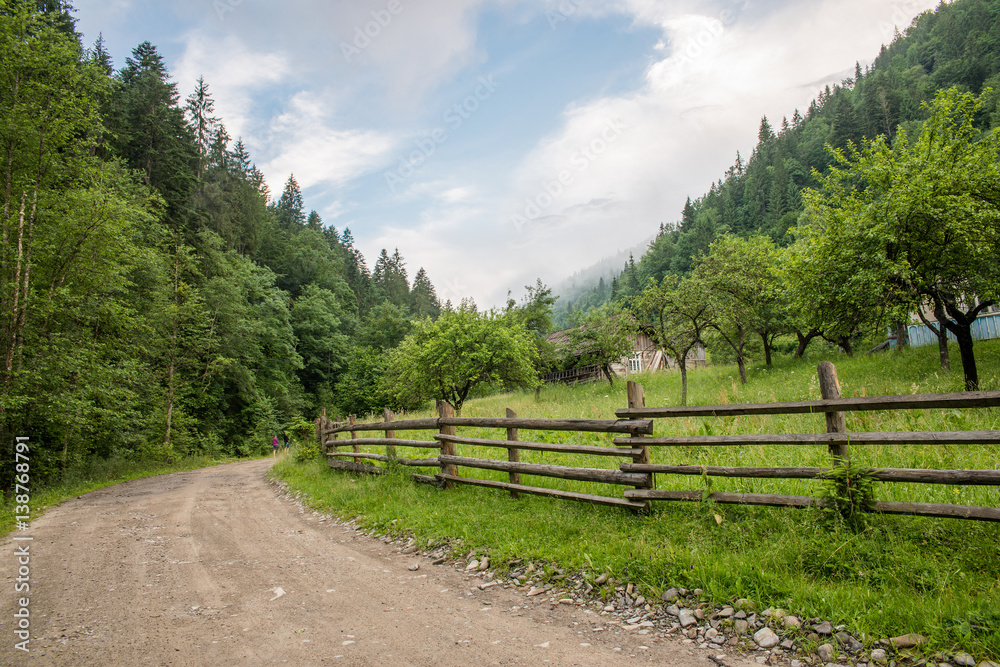 road in the forest in the Carpathian mountains