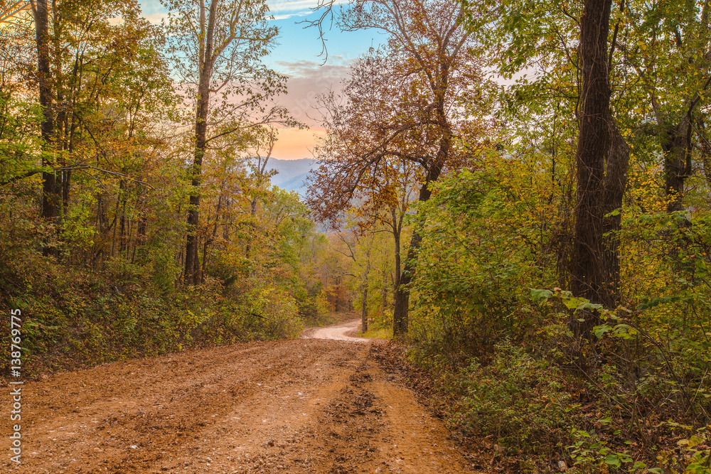 Fototapeta premium Ozark Mountain Road