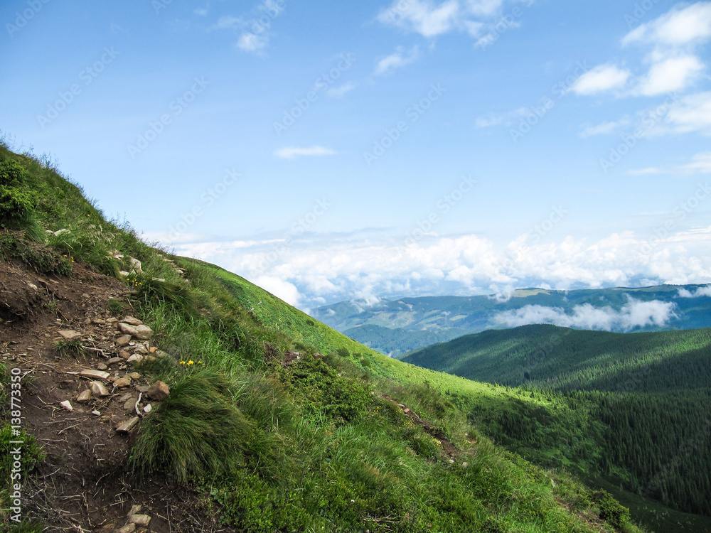 Fototapeta premium Carpathian mountain landscape summer in Ukraine on Hoverla hike