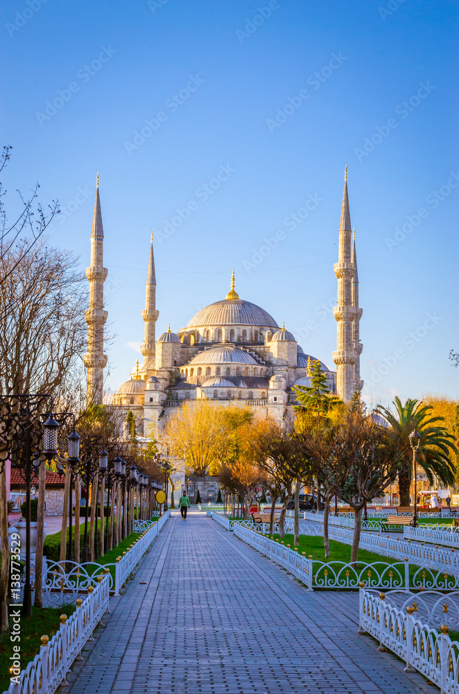 Obraz premium The Blue Mosque, (Sultanahmet Camii), Istanbul, Turkey.