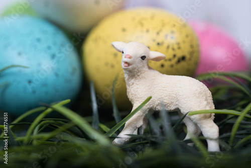 Small lamb next to large decoarted Easter Eggs photo