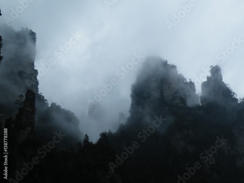 Foggy forest. © Xiaoneng